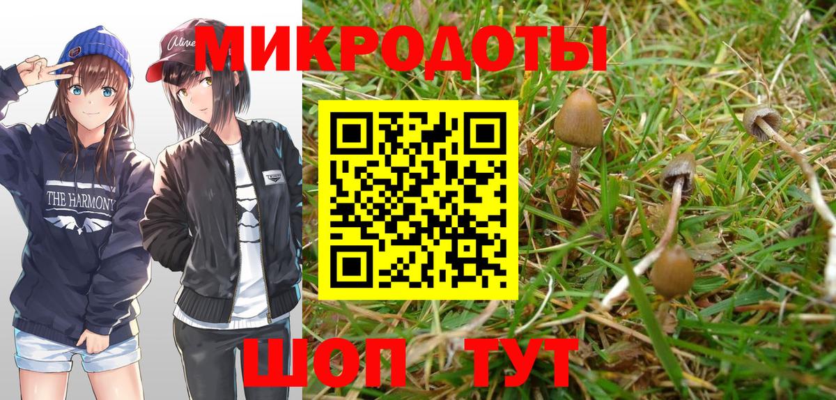 Галлюциногенные грибы Psilocybine cubensis  Вход с VPN  Лесозаводск 