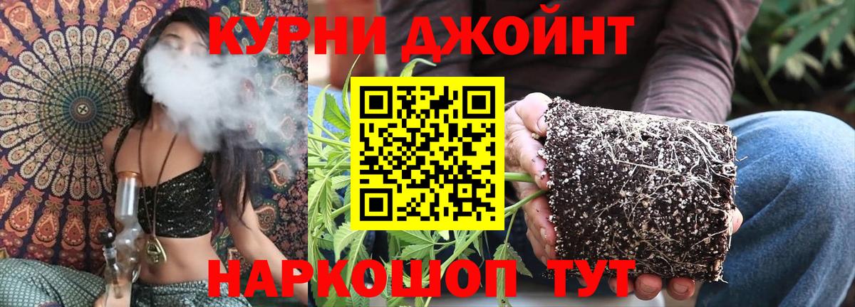 МАРИХУАНА OG Kush  Канабис конопля  Вход с VPN  Лесозаводск  Шишки марихуана OG Kush 